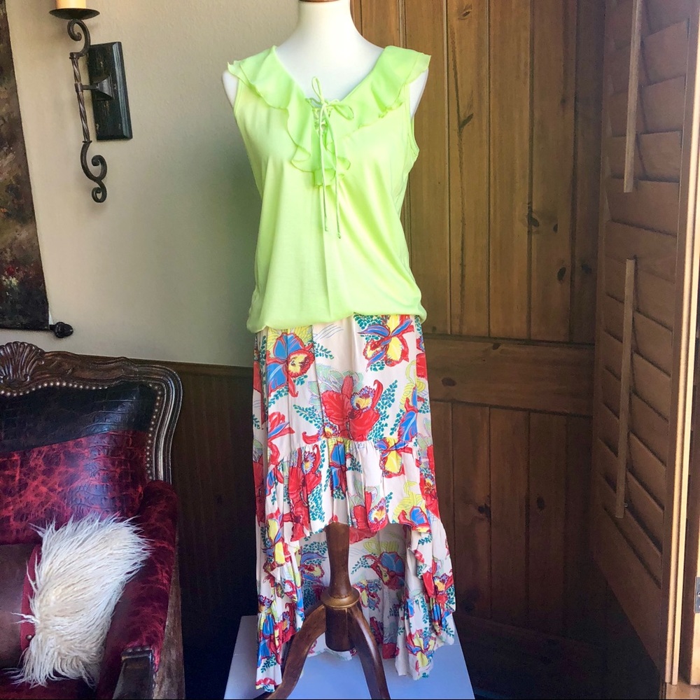 Hi Low Ivy Jane adorable skirt